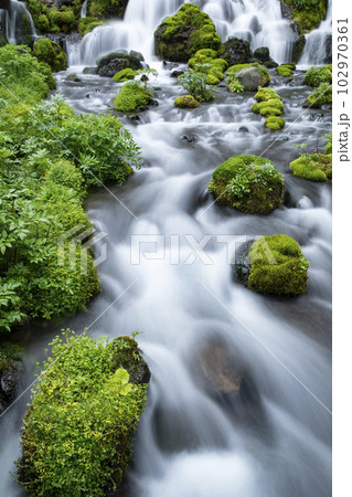 生命の水 102970361