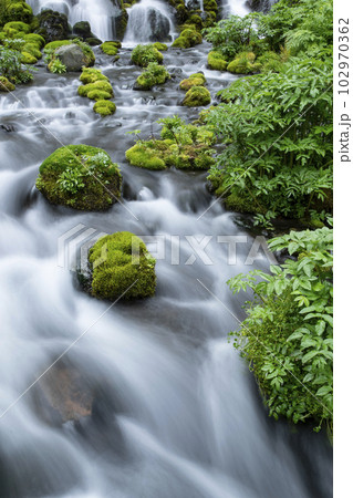 生命の水 102970362