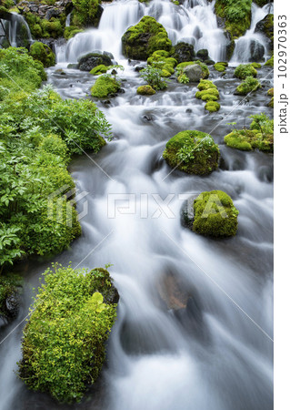 生命の水 102970363