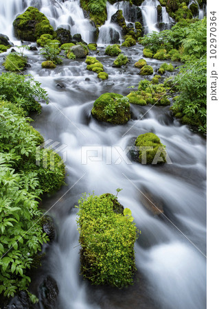 生命の水 生命の水 102970364
