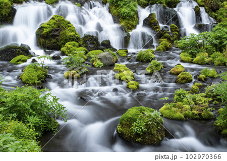生命の水 生命の水 102970366