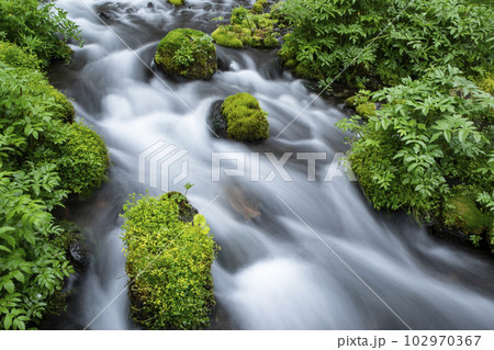 生命の水 生命の水 102970367