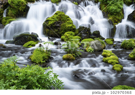 生命の水 102970368