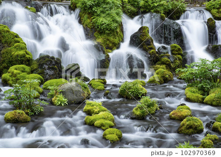 生命の水 102970369