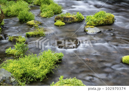 生命の水 102970374