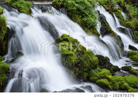 生命の水 生命の水 102970376