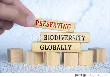 Preserving Biodiversity Globally text on wooden blocks. Conservation and nature concept 102970897