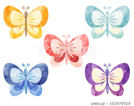 カラフルな蝶のイラストのセット　水彩風加工バージョン 102970920