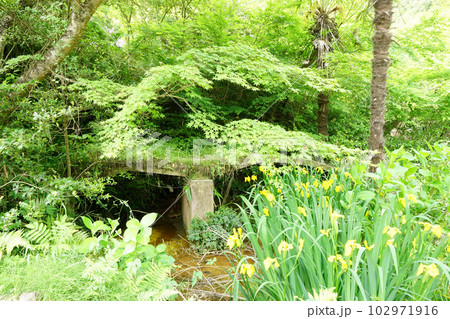 甲賀の里　忍術村　 102971916