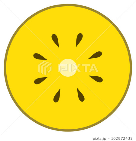 キウイの断面 102972435