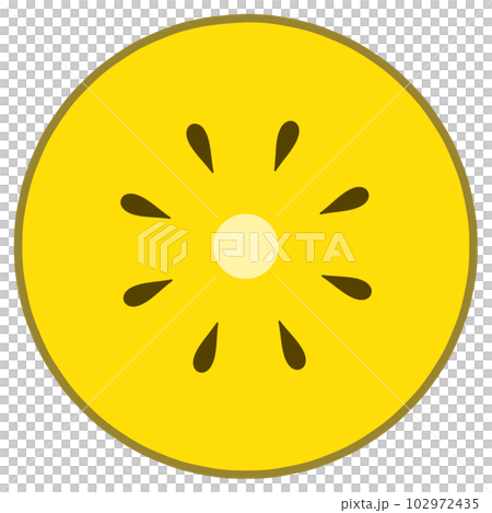 キウイの断面 102972435