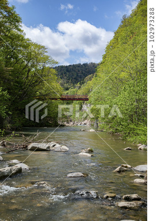 新緑の定山渓 新緑の定山渓 102973288