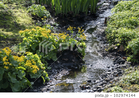 春の小川 春の小川 102974144