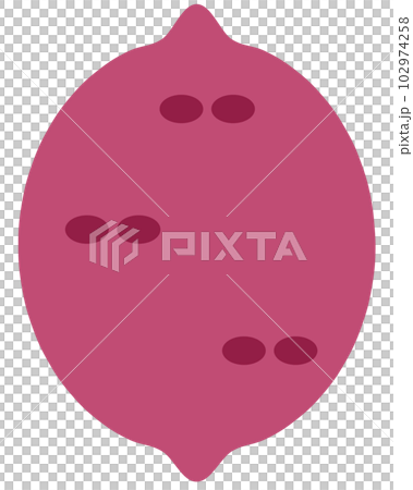 sweet potato sweet potato 102974258