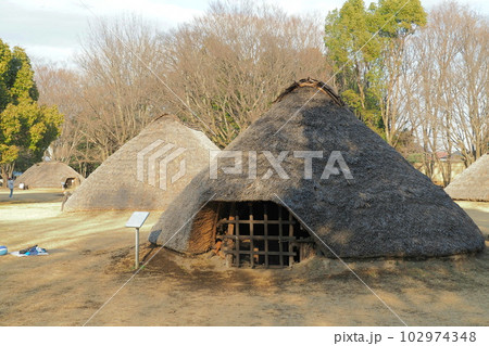 水子貝塚公園の復元竪穴住居【埼玉県富士見市】 水子貝塚公園の復元竪穴住居【埼玉県富士見市】 102974348
