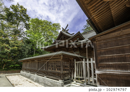 松江城 松江神社 本殿 島根県松江市 松江城 松江神社 本殿 島根県松江市 102974797