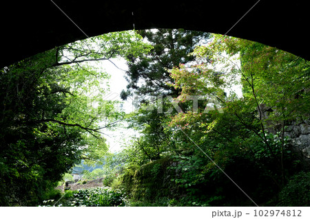 石橋下から望む緑 石橋下から望む緑 102974812