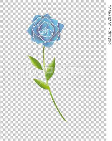 青色の薔薇の手描きイラスト1輪のイラスト素材 [102974831] - PIXTA