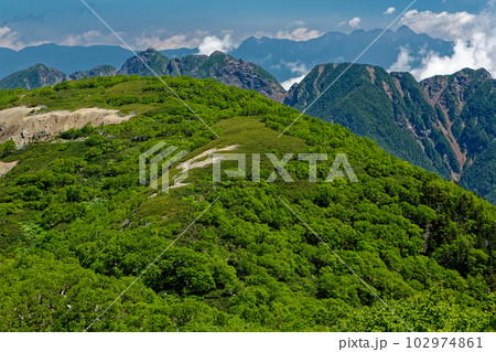 南アルプス・仙丈ヶ岳の登りから見る馬の背と鋸岳・八ヶ岳 102974861