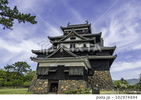 松江城　天守閣　島根県松江市 102974894