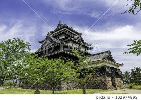 松江城　天守閣　島根県松江市 102974895