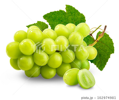 シャインマスカット 102974981