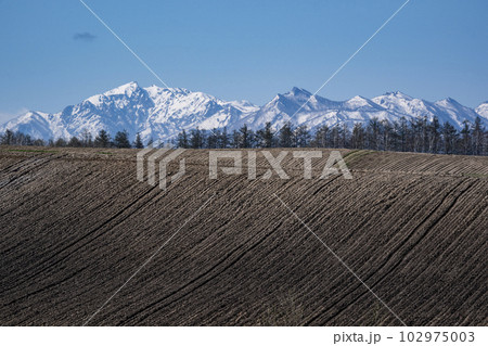 早春の美瑛 102975003