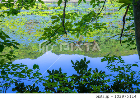 大峰沼　水鏡　新緑の景色　みなかみ町　 102975114