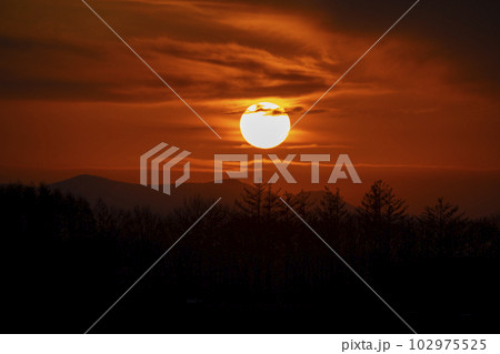 十勝大地の夕陽 102975525
