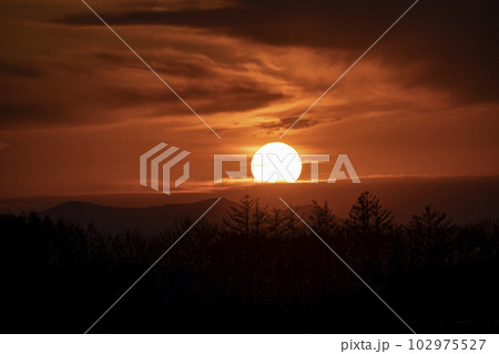 十勝大地の夕陽 102975527