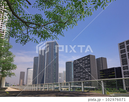 新緑の季節の晴海と勝どき地区のタワーマンション群。2023年5月撮影。 新緑の季節の晴海と勝どき地区のタワーマンション群。2023年5月撮影。 102976071
