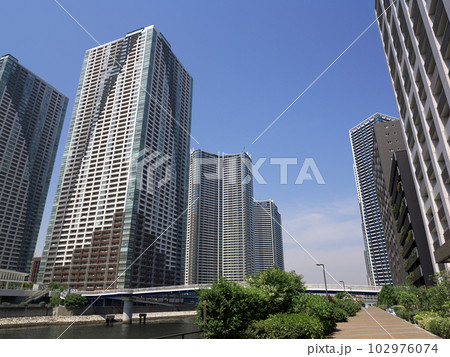 新緑の季節の晴海と勝どき地区のタワーマンション群。2023年5月撮影。 新緑の季節の晴海と勝どき地区のタワーマンション群。2023年5月撮影。 102976074