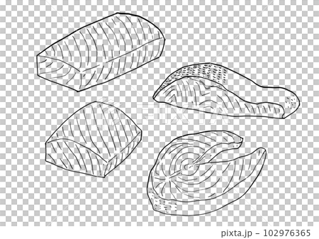 サーモンの切り身　スケッチ　線画 102976365