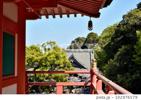 紀三井寺(仏殿から本堂を望む) 【和歌山県和歌山市】 紀三井寺(仏殿から本堂を望む) 【和歌山県和歌山市】 102976579