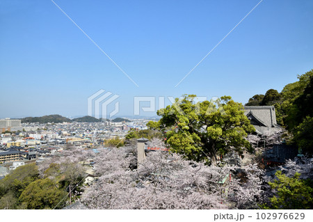 紀三井寺(仏殿から本堂・和歌浦方面を望む)　【和歌山県和歌山市】 102976629