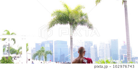 平成s449 102976743