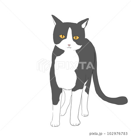 新郎新婦 」 ハチワレ 猫イラスト 色鉛筆画（夏のハチワレ猫