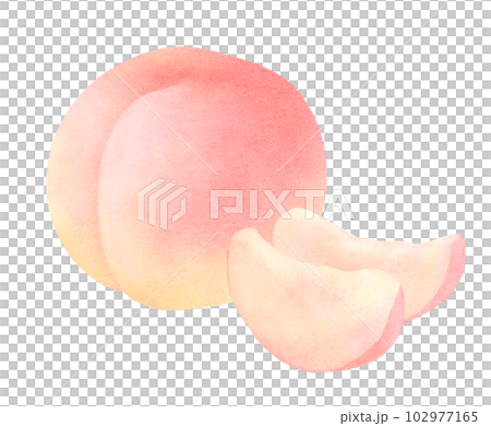 一個完整的桃子和切片桃子的插圖清新可愛的水果水彩 102977165