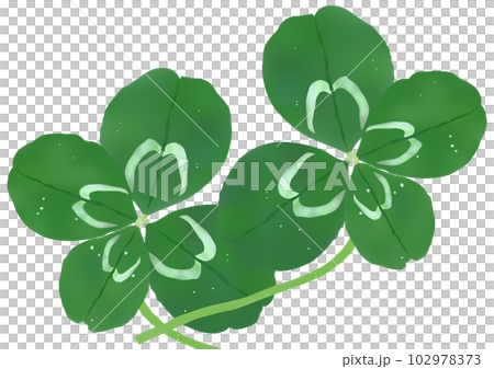 兩棵四葉草 102978373