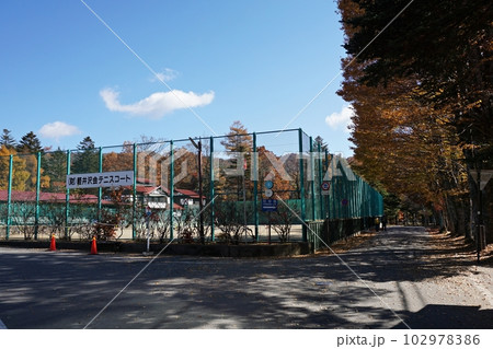 紅葉の旧軽井沢テニスコート 紅葉の旧軽井沢テニスコート 102978386