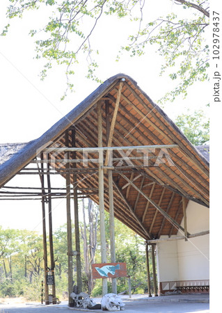 【ボツワナ】モアミ・ゲーム保護区 102978437