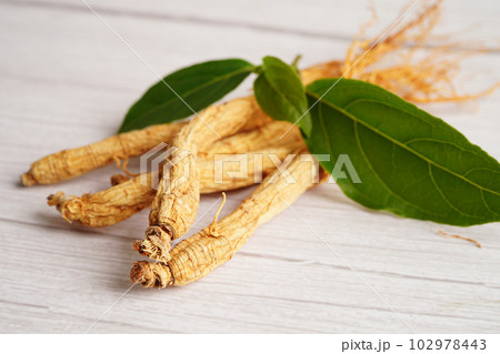 Ginseng roots and green leaf, healthy food. 102978443