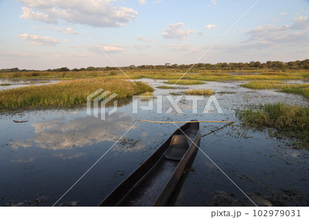 【ボツワナ】Boteti Rever 【ボツワナ】Boteti Rever 102979031