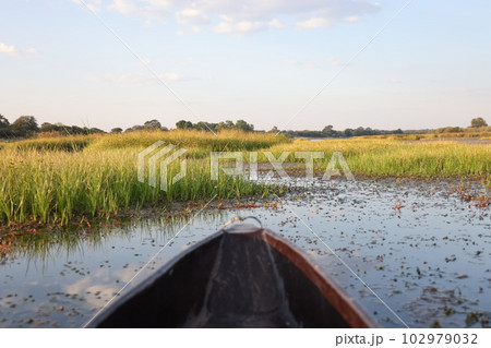 【ボツワナ】Boteti Rever 102979032