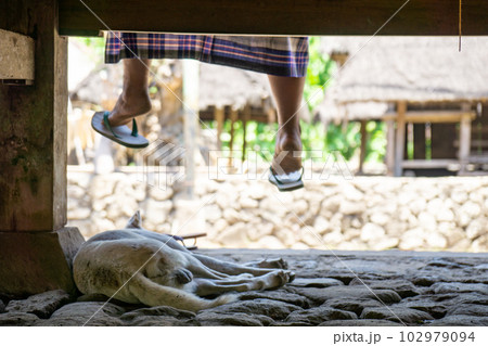 バリ島のトゥガナン村のまったりした風景 バリ島のトゥガナン村のまったりした風景 102979094