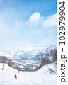 長野　HAKUBA47のゲレンデから白馬村を望む 102979904