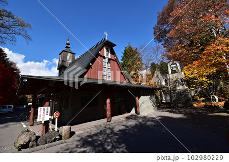 紅葉のピークを迎えた軽井沢聖パウロカトリック教会 102980229