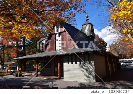 紅葉のピークを迎えた軽井沢聖パウロカトリック教会 紅葉のピークを迎えた軽井沢聖パウロカトリック教会 102980234