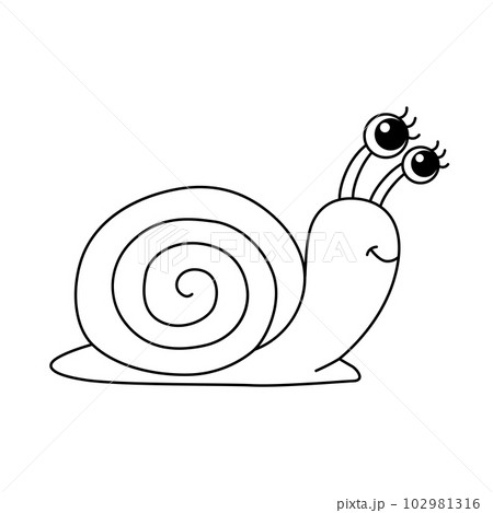 Snail cartoon coloring page illustration vector. For kids coloring book. Snail cartoon coloring page illustration vector. For kids coloring book. 102981316