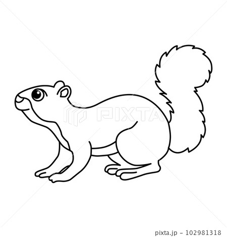 Squirrel cartoon coloring page illustration vector. For kids coloring book. 102981318